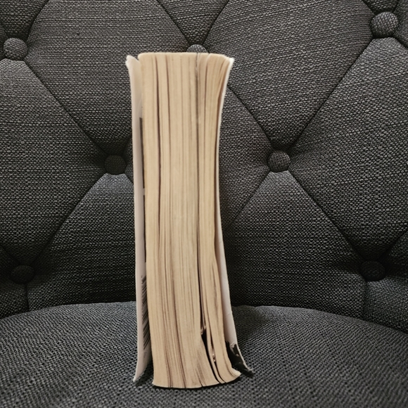 Warriors: Super Edition Tigerheart's Shadow - Picture 4 of 12